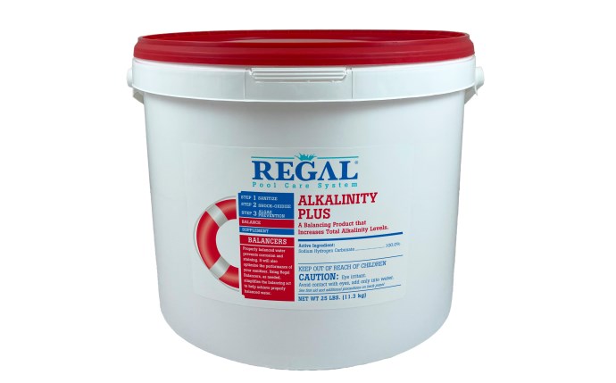 Regal Alkalinity Plus 25lb pail